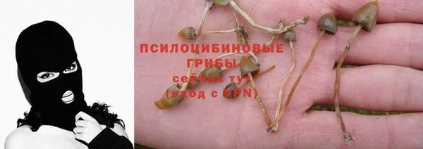 трава Богданович