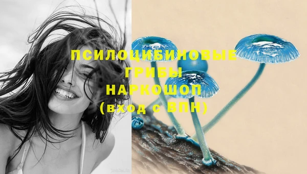трава Богданович